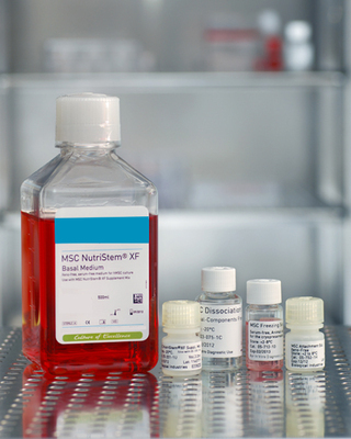 人類間充質(zhì)干細(xì)胞促貼壁試劑(無動(dòng)物源成分),現(xiàn)貨-產(chǎn)品報(bào)價(jià)-上海通善生物科技