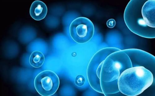 干細胞儲存沒用不靠譜 這3點讓你相信未來生物科技