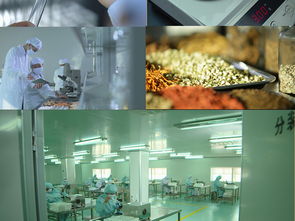 生物科技前沿探索 從微觀機理到宏觀應(yīng)用的科研高清圖景